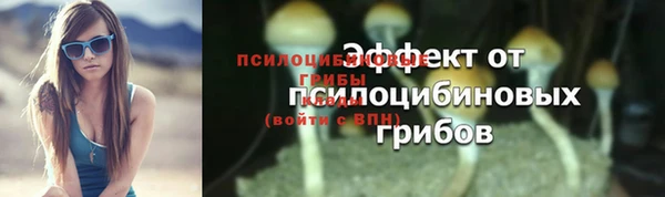 шишки Балахна