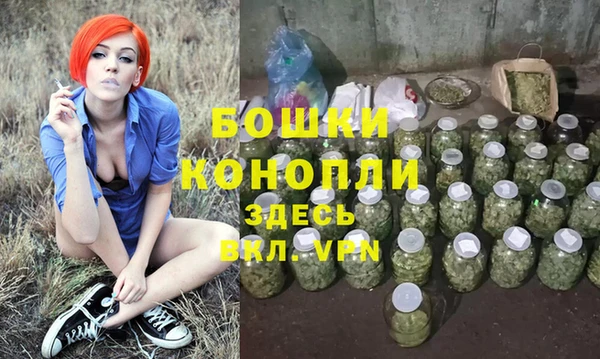 spice Белокуриха
