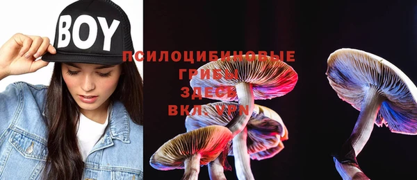2c-b Белоозёрский